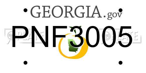 PNF3005 Georgia License Plate