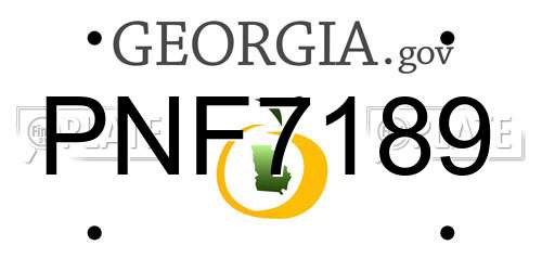 PNF7189 Georgia License Plate