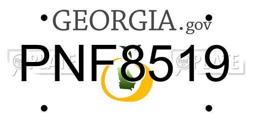 PNF8519 Georgia License Plate