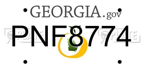 PNF8774 Georgia License Plate
