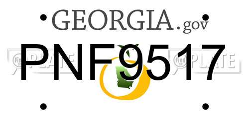 PNF9517 Georgia License Plate