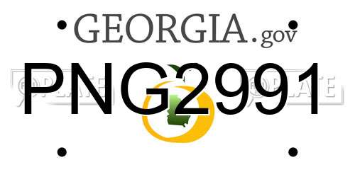 PNG2991 Georgia License Plate