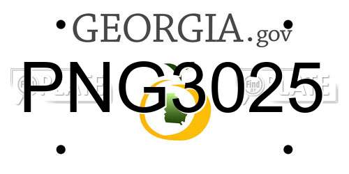 PNG3025 Georgia License Plate