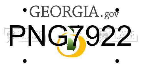 PNG7922 Georgia License Plate