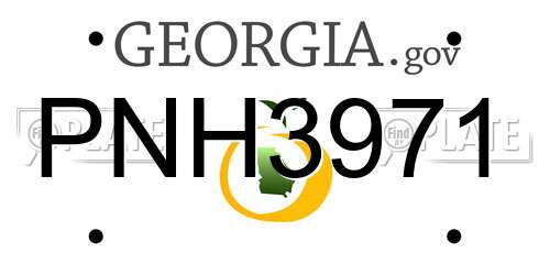 PNH3971 Georgia License Plate