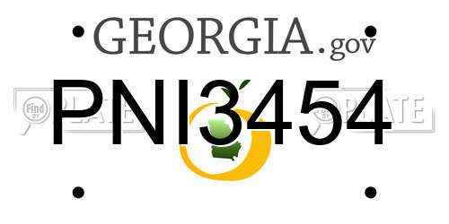 PNI3454 Georgia License Plate