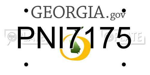 PNI7175 Georgia License Plate