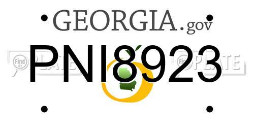 PNI8923 Georgia License Plate