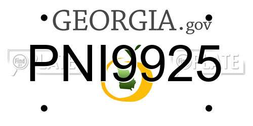 PNI9925 Georgia License Plate