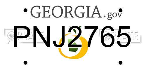 PNJ2765 Georgia License Plate