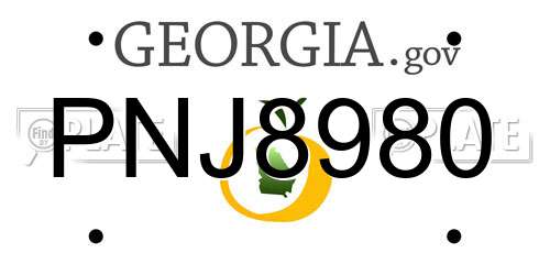 PNJ8980 Georgia License Plate