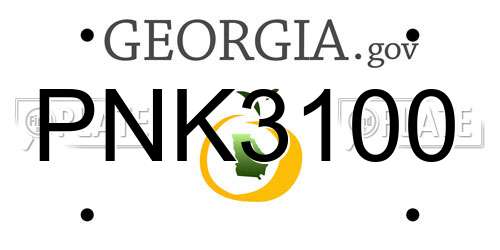 PNK3100 Georgia License Plate