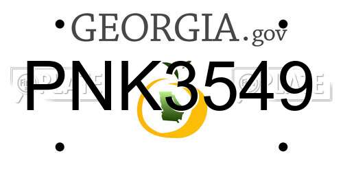 PNK3549 Georgia License Plate