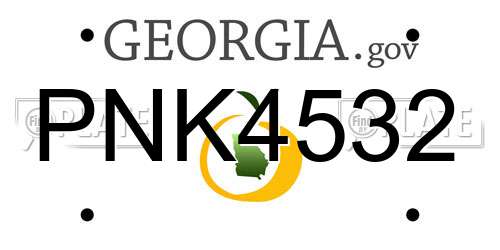 PNK4532 Georgia License Plate