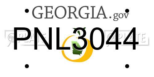 PNL3044 Georgia License Plate