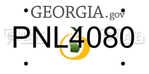 PNL4080 Georgia License Plate