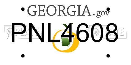 PNL4608 Georgia License Plate
