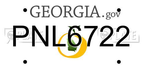 PNL6722 Georgia License Plate