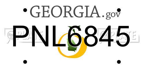 PNL6845 Georgia License Plate