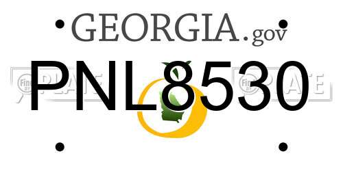 PNL8530 Georgia License Plate
