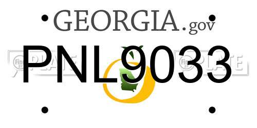 PNL9033 Georgia License Plate