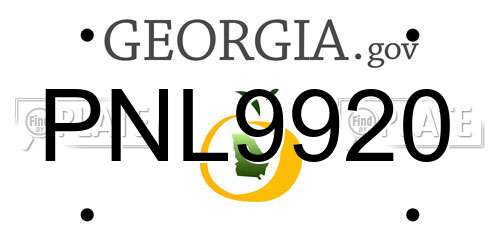 PNL9920 Georgia License Plate