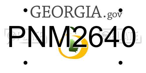 PNM2640 Georgia License Plate