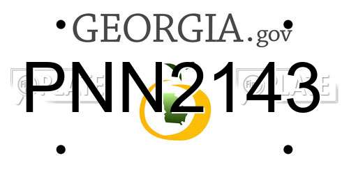 PNN2143 Georgia License Plate