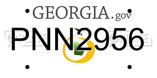 PNN2956 Georgia License Plate