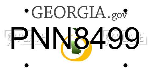 PNN8499 Georgia License Plate
