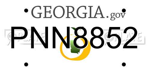 PNN8852 Georgia License Plate