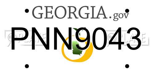 PNN9043 Georgia License Plate