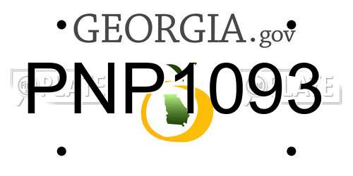 PNP1093 Georgia License Plate