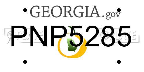 PNP5285 Georgia License Plate