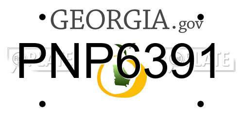 PNP6391 Georgia License Plate