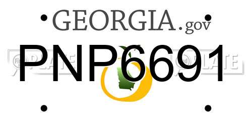 PNP6691 Georgia License Plate
