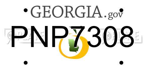 PNP7308 Georgia License Plate