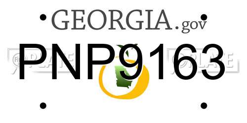 PNP9163 Georgia License Plate