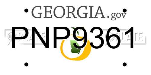 PNP9361 Georgia License Plate
