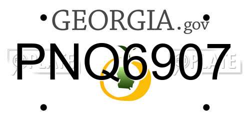 PNQ6907 Georgia License Plate