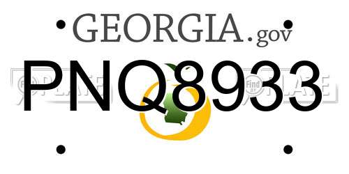 PNQ8933 Georgia License Plate