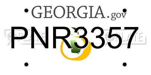 PNR3357 Georgia License Plate