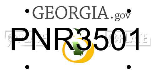 PNR3501 Georgia License Plate