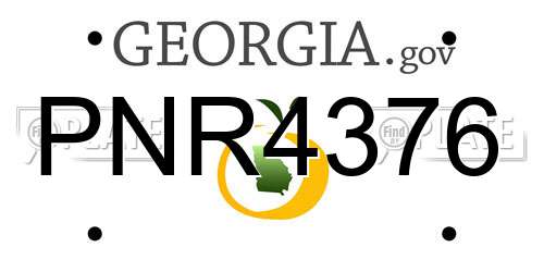PNR4376 Georgia License Plate
