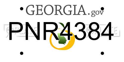 PNR4384 Georgia License Plate