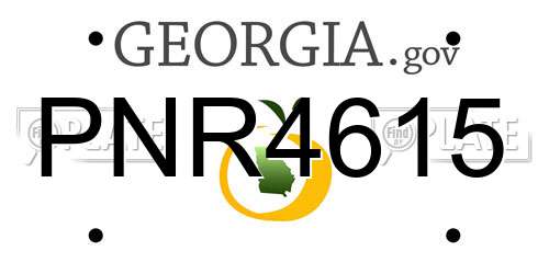 PNR4615 Georgia License Plate