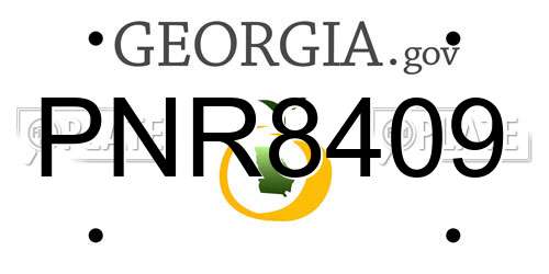 PNR8409 Georgia License Plate