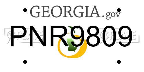 PNR9809 Georgia License Plate