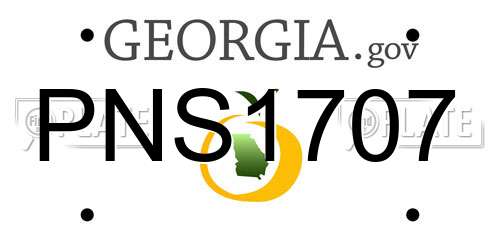 PNS1707 Georgia License Plate