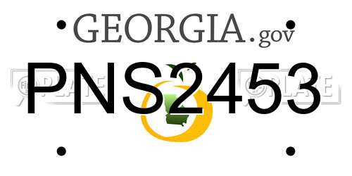 PNS2453 Georgia License Plate